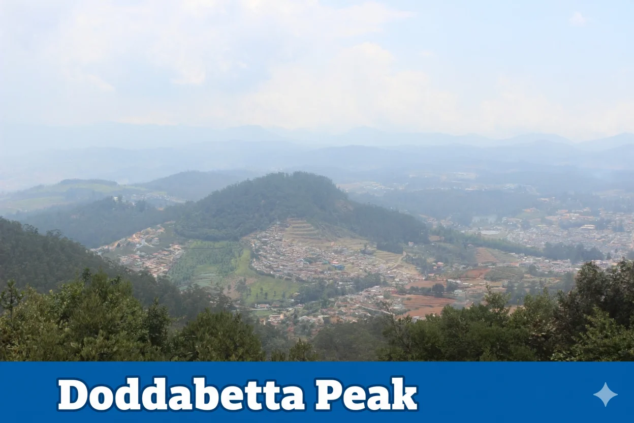 Explore Doddabetta Peak, the highest point in Ooty's Nilgiri Hills